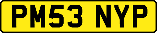 PM53NYP