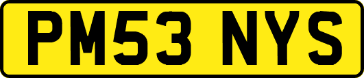 PM53NYS