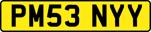 PM53NYY