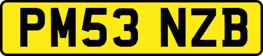 PM53NZB