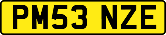 PM53NZE
