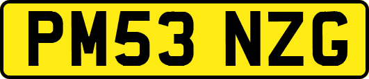 PM53NZG