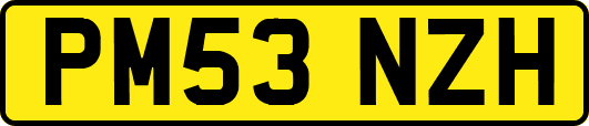 PM53NZH