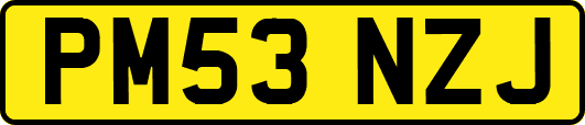 PM53NZJ