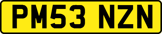 PM53NZN