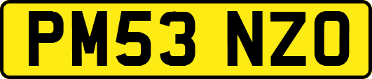 PM53NZO
