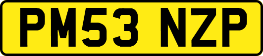 PM53NZP