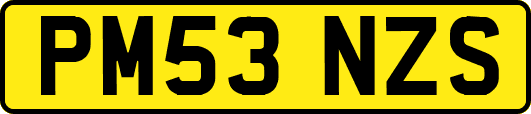 PM53NZS