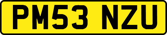 PM53NZU