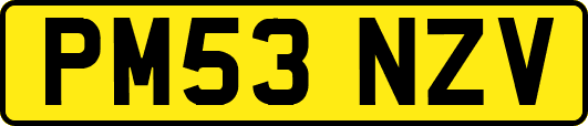 PM53NZV