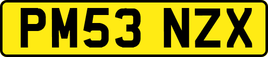 PM53NZX
