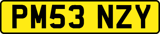 PM53NZY