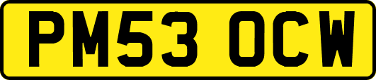 PM53OCW
