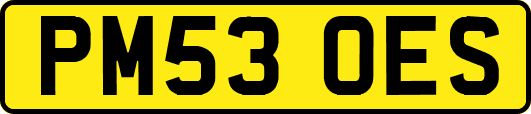 PM53OES