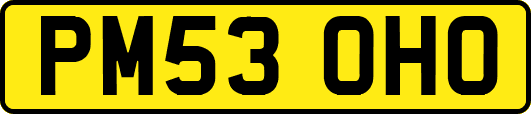 PM53OHO