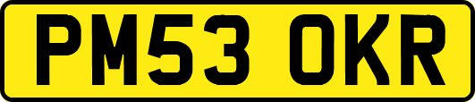 PM53OKR