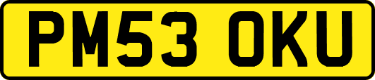 PM53OKU