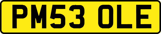 PM53OLE