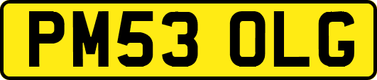 PM53OLG