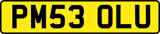 PM53OLU