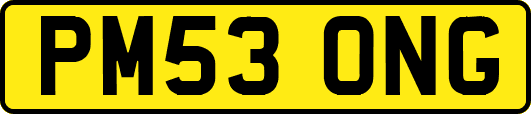 PM53ONG