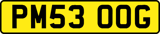PM53OOG