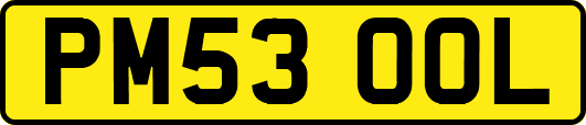 PM53OOL