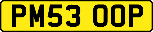 PM53OOP
