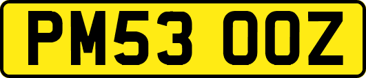 PM53OOZ