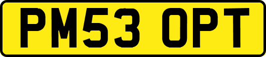 PM53OPT