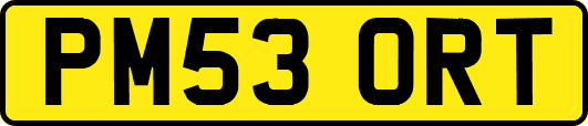 PM53ORT