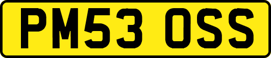 PM53OSS
