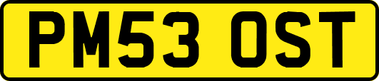 PM53OST