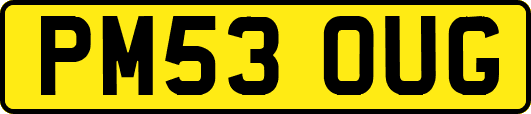 PM53OUG