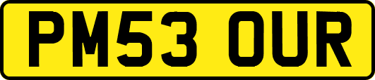 PM53OUR