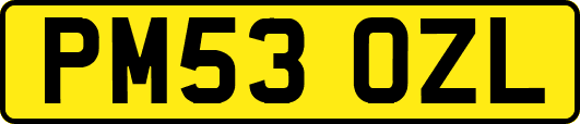 PM53OZL