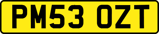PM53OZT