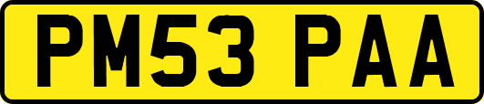 PM53PAA
