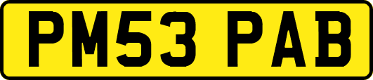 PM53PAB