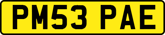PM53PAE