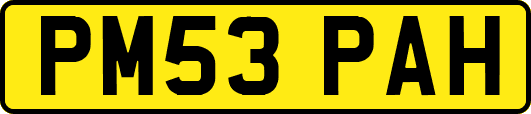 PM53PAH