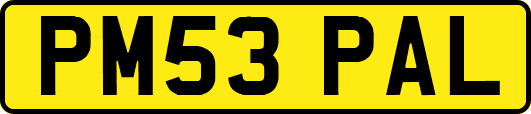 PM53PAL