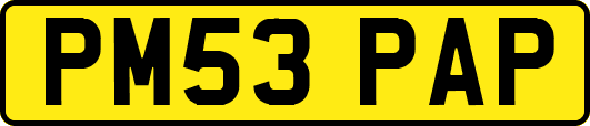 PM53PAP