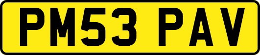PM53PAV