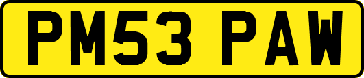 PM53PAW