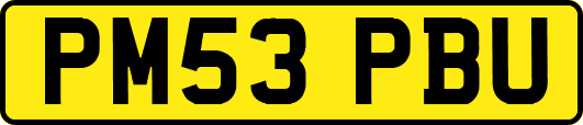 PM53PBU
