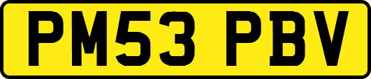 PM53PBV