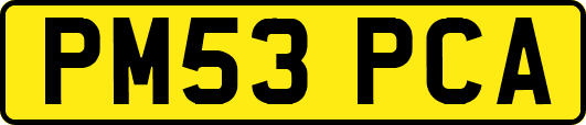 PM53PCA