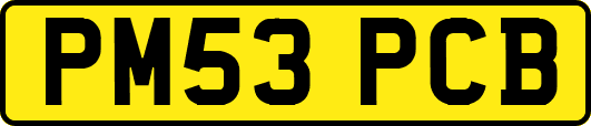PM53PCB
