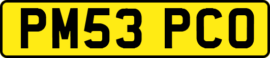 PM53PCO